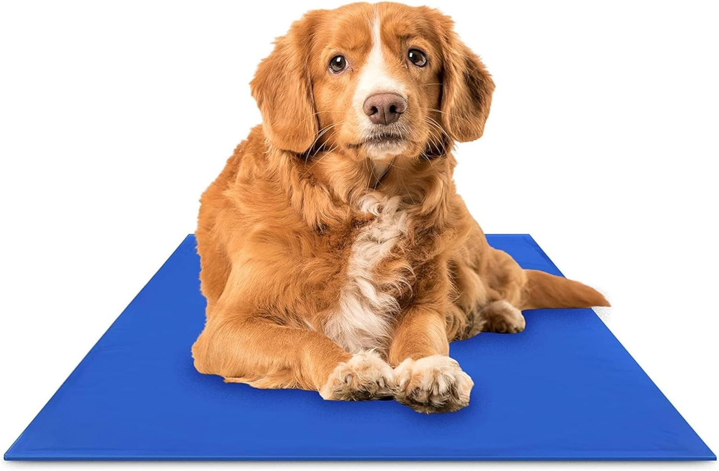 The Green Pet Shop Chillz Gel Mat, Large - Pressure-Activated Cooling Pad for Pets 25-50 lbs - Non-Toxic, No Water or Refrigeration Needed - Ideal for Home, Travel & Crates