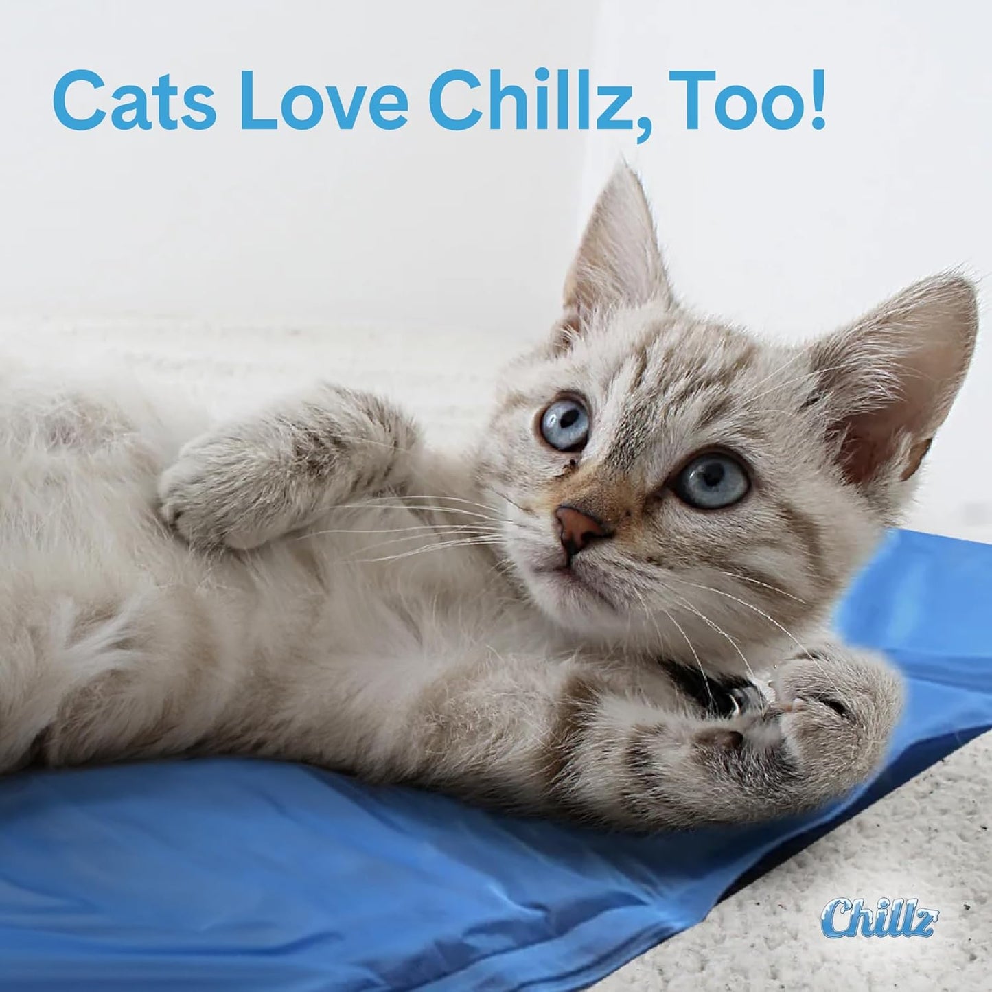 The Green Pet Shop Chillz Gel Mat, Large - Pressure-Activated Cooling Pad for Pets 25-50 lbs - Non-Toxic, No Water or Refrigeration Needed - Ideal for Home, Travel & Crates